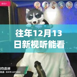 探秘小巷深處的視聽盛宴，揭秘往年12月13日新視聽直播實況與期待能否如約而至？