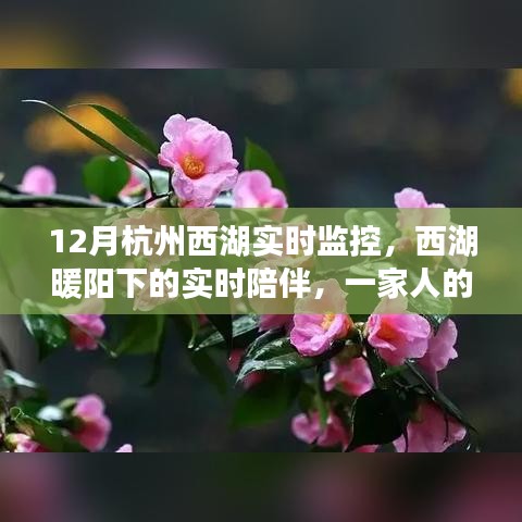 西湖暖陽下的溫馨時(shí)光，家庭實(shí)時(shí)陪伴與監(jiān)控記錄