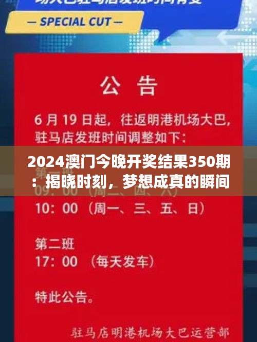 2024澳門今晚開獎(jiǎng)結(jié)果350期：揭曉時(shí)刻，夢(mèng)想成真的瞬間