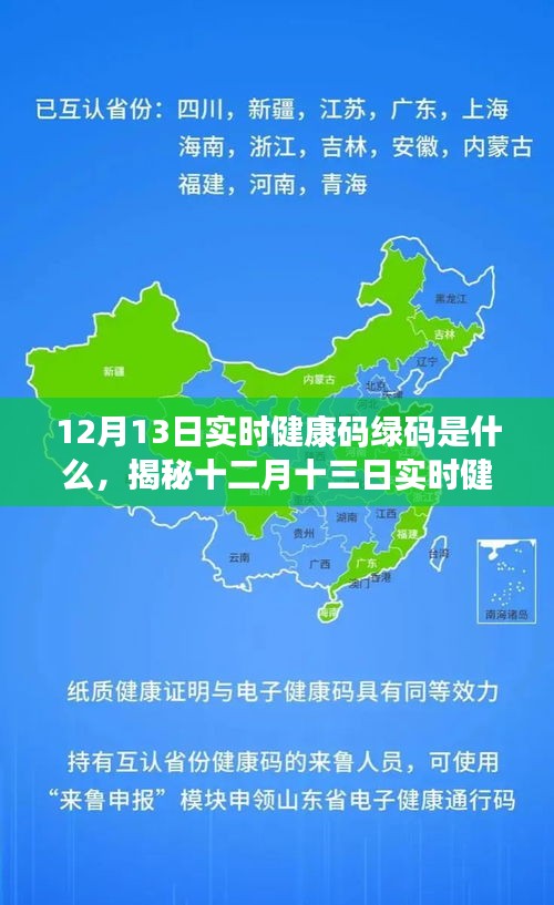 揭秘十二月十三日實(shí)時(shí)健康碼綠碼真相，定義、功能及應(yīng)用解析