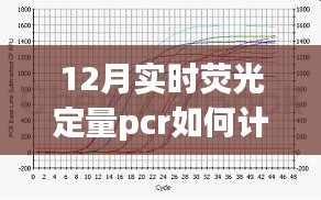 掌握實(shí)時(shí)熒光定量PCR計(jì)算技巧，開(kāi)啟科研之旅的新篇章