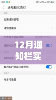 解決12月通知欄實時網(wǎng)速顯示無變化問題，實用指南及初學(xué)者進階用戶必看攻略