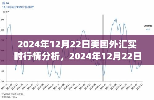 獨家解析，2024年12月22日美國外匯實時行情深度解讀與市場走勢預(yù)測