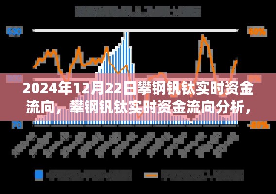 攀鋼釩鈦實(shí)時(shí)資金流向觀察與分析，2024年12月22日的觀點(diǎn)與洞察