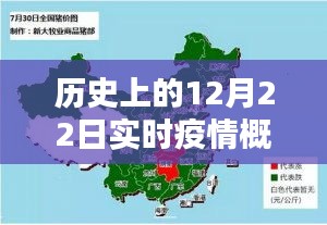 歷史上的12月22日實時疫情概況深度解析與回顧