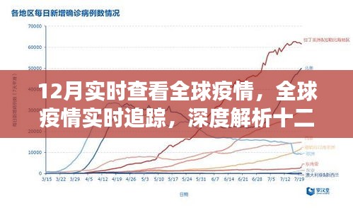 全球疫情最新動態(tài)解析，深度追蹤十二月疫情實時變化