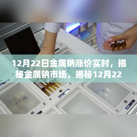 揭秘金屬鈉市場，漲價(jià)背后的實(shí)時(shí)動(dòng)態(tài)（12月22日更新）