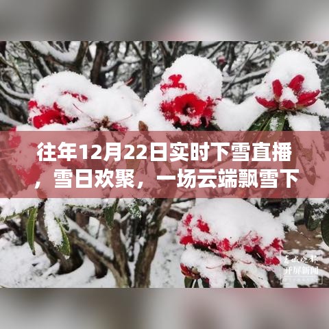 云端飄雪下的歡聚時(shí)光，12月22日實(shí)時(shí)下雪直播日常