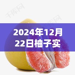 2024年柚子產(chǎn)品深入評測與實時介紹圖片體驗報告