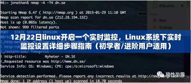 Linux系統(tǒng)實時監(jiān)控設(shè)置指南，從初學(xué)者到進階用戶的詳細步驟（12月22日更新）