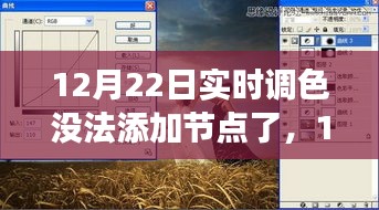 12月22日實時調(diào)色功能受限，性能、體驗與競品對比深度解析