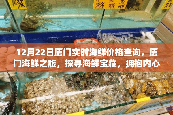 廈門海鮮之旅，探尋寶藏海鮮，實時價格查詢與寧靜體驗