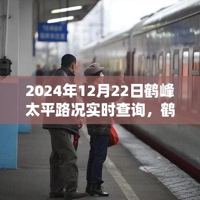 鶴峰太平路況實(shí)時(shí)查詢指南，2024年12月22日出行必備路況信息