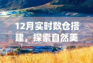 寧靜冬日里的探索之旅，實時數(shù)倉搭建與心靈的自然美景之旅