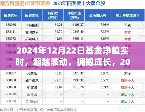 揭秘基金凈值背后的故事，超越波動(dòng)，擁抱成長，探尋2024年12月22日基金凈值實(shí)時(shí)動(dòng)態(tài)