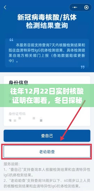 冬日探秘，尋找往年12月22日核酸證明的小故事與實時查詢攻略