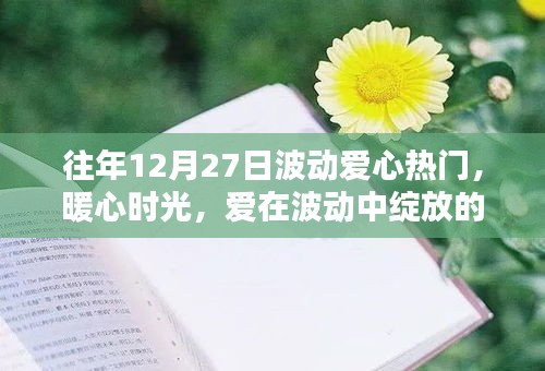 12月27日愛心熱潮涌動，暖心時光記錄溫馨日常中的愛之波動