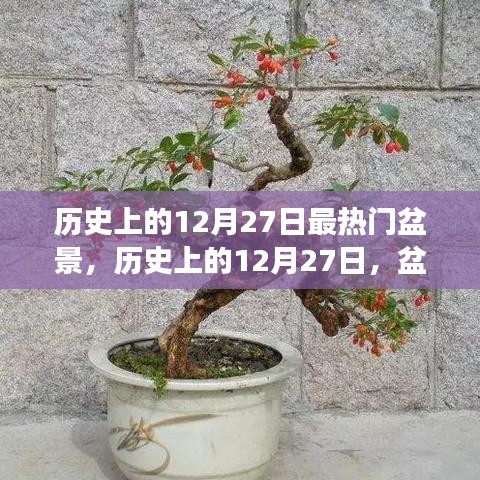 揭秘歷史上的盆景熱潮，探尋盆景背后的故事與種子力量，領(lǐng)略變化與自信的魅力