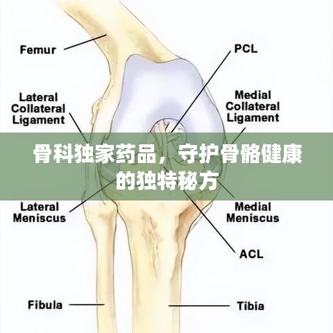 骨科獨(dú)家藥品，守護(hù)骨骼健康的獨(dú)特秘方