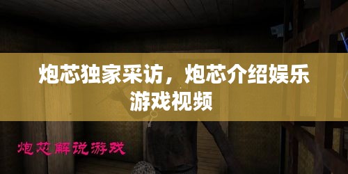 炮芯獨家采訪，炮芯介紹娛樂游戲視頻 