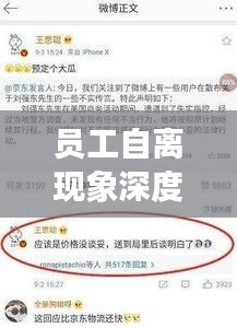 員工自離現(xiàn)象深度解析，原因、影響與解決之道