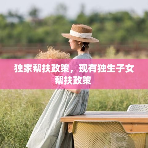 獨家?guī)头稣?，現(xiàn)有獨生子女幫扶政策 