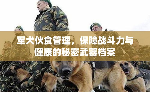 軍犬伙食管理，保障戰(zhàn)斗力與健康的秘密武器檔案