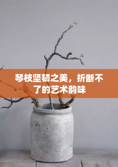 琴枝堅韌之美，折斷不了的藝術(shù)韻味