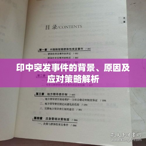 印中突發(fā)事件的背景、原因及應(yīng)對策略解析