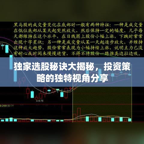 獨家選股秘訣大揭秘，投資策略的獨特視角分享