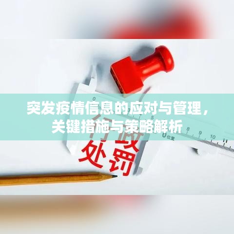 突發(fā)疫情信息的應(yīng)對(duì)與管理，關(guān)鍵措施與策略解析