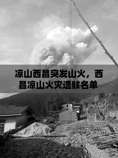 涼山西昌突發(fā)山火，西昌涼山火災(zāi)遺骸名單 