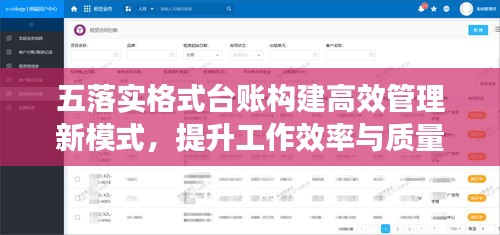 五落實(shí)格式臺(tái)賬構(gòu)建高效管理新模式，提升工作效率與質(zhì)量