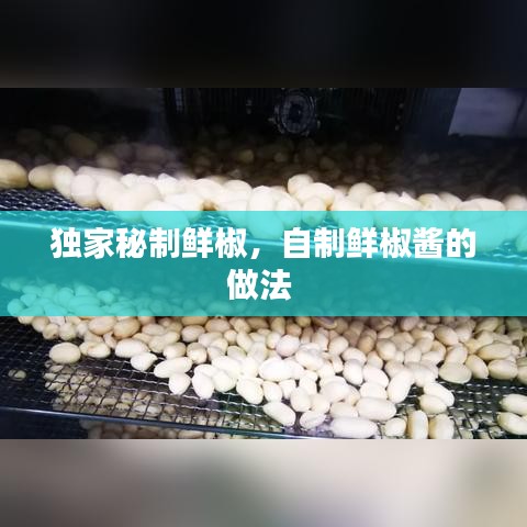 獨(dú)家秘制鮮椒，自制鮮椒醬的做法 