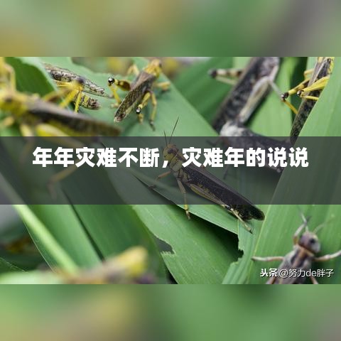 年年災(zāi)難不斷，災(zāi)難年的說說 