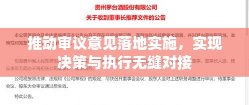 推動審議意見落地實(shí)施，實(shí)現(xiàn)決策與執(zhí)行無縫對接