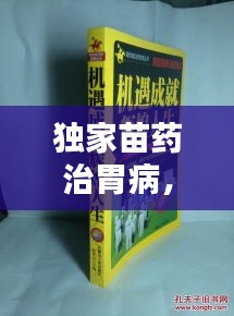 獨(dú)家苗藥治胃病，古老智慧綻放現(xiàn)代光芒