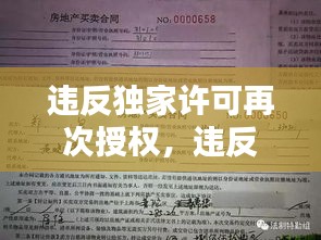 違反獨家許可再次授權，違反獨家代理權合同違約責任 