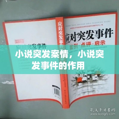 小說突發(fā)案情，小說突發(fā)事件的作用 