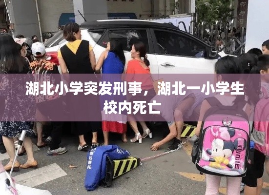 湖北小學突發(fā)刑事，湖北一小學生校內死亡 