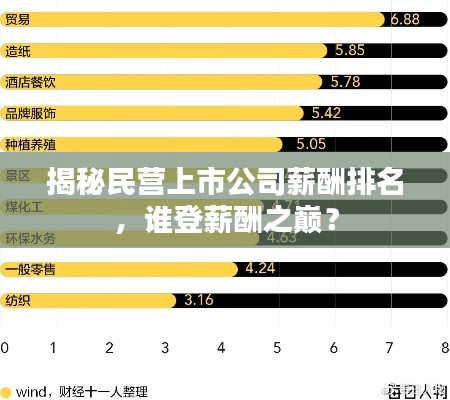 揭秘民營(yíng)上市公司薪酬排名，誰登薪酬之巔？