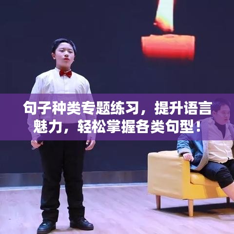 句子種類專題練習(xí)，提升語言魅力，輕松掌握各類句型！