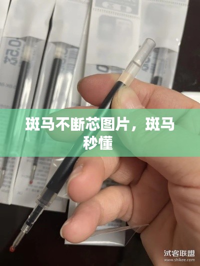 斑馬不斷芯圖片，斑馬秒懂 