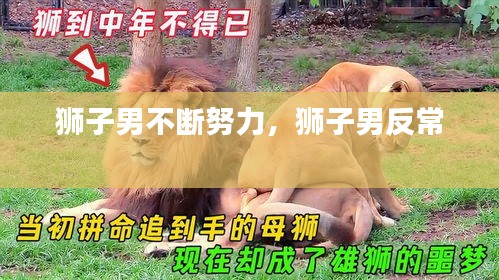 獅子男不斷努力，獅子男反常 