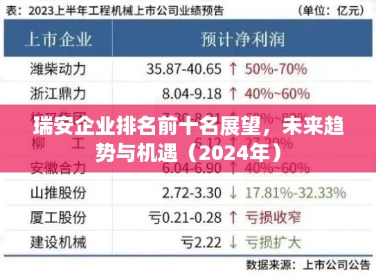 瑞安企業(yè)排名前十名展望，未來趨勢(shì)與機(jī)遇（2024年）