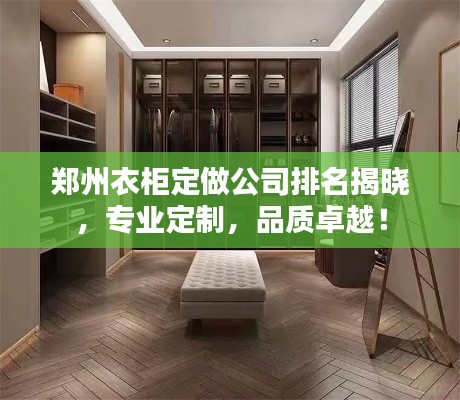 鄭州衣柜定做公司排名揭曉，專業(yè)定制，品質卓越！