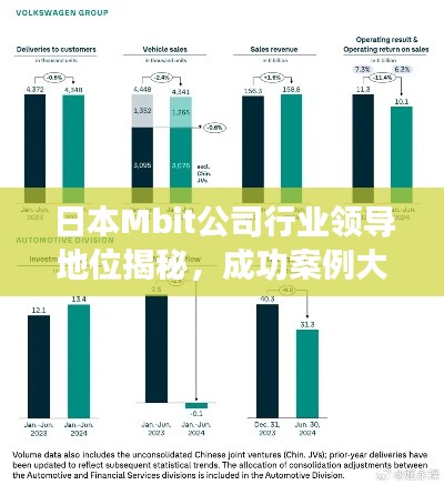 日本Mbit公司行業(yè)領(lǐng)導(dǎo)地位揭秘，成功案例大解析