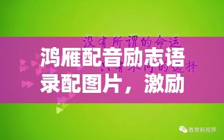 鴻雁配音勵(lì)志語錄配圖片，激勵(lì)你前行的力量！