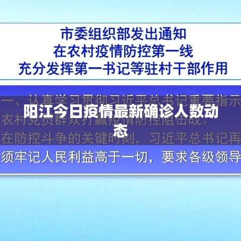 陽(yáng)江今日疫情最新確診人數(shù)動(dòng)態(tài)