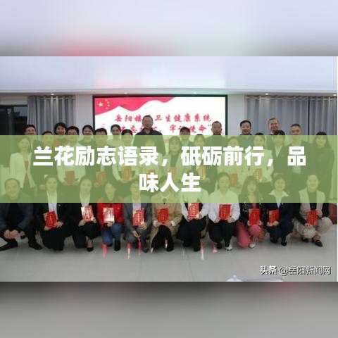 蘭花勵志語錄，砥礪前行，品味人生